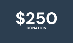 $250 Donation
